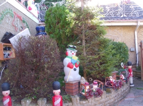 SAM_0956