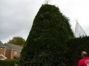 SAM_0965