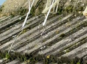 IMG-20241012-WA0012