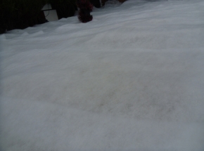 SAM_0320