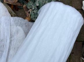 IMG-20251109-WA0002